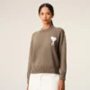 Bej Yün ve Pamuklu Bisiklet Yaka Ami de Coeur Sweater