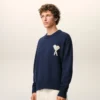 Mavi Yün ve Pamuklu Bisiklet Yaka Ami de Coeur Sweater